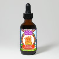 Cultured Cordyceps Drops 2 oz.