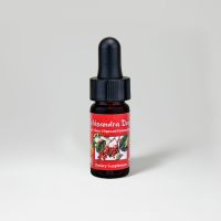 Schizandra Mini Drops, Organic