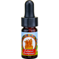 Cultured Cordyceps Mini Drops