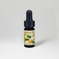 Sweetfruit Ginger Oil Mini Drops