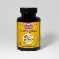 Astragalus