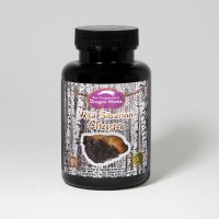 Wild Siberian Chaga