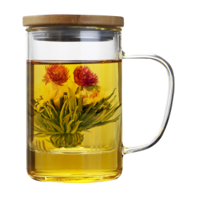 Glass Brewing Mug with Strainer and Bamboo Lid 450 ml