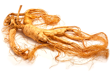 Chinese Ginseng