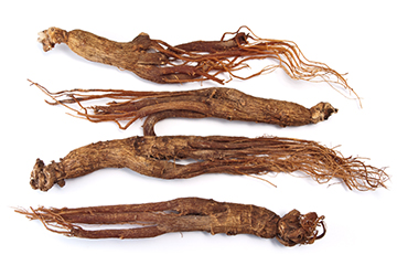 Chinese Red Ginseng