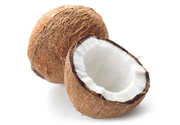 Coconut