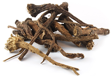 Dandelion root