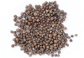 Perilla seed