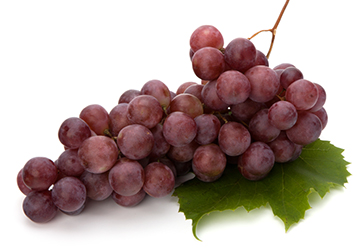 Resveratrol