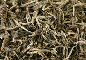 Silver Needle Tea