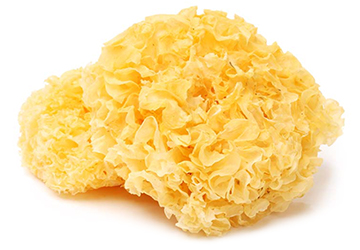 Tremella