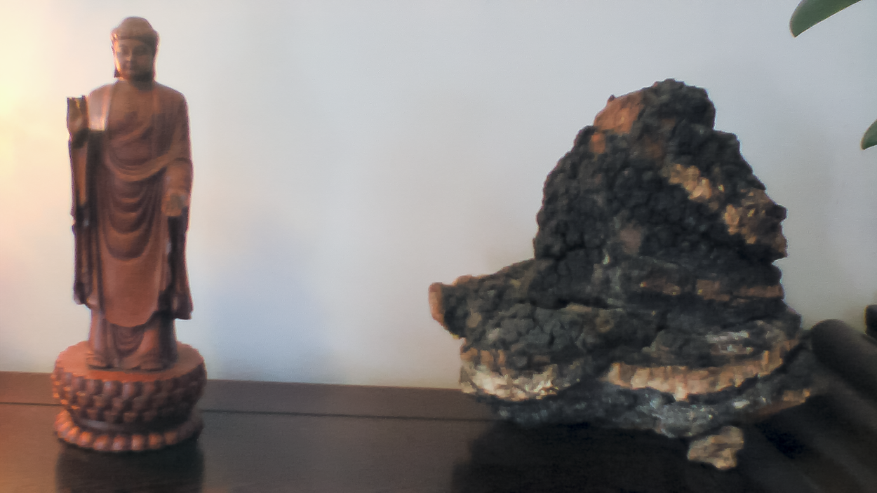 Chaga mushroom altar