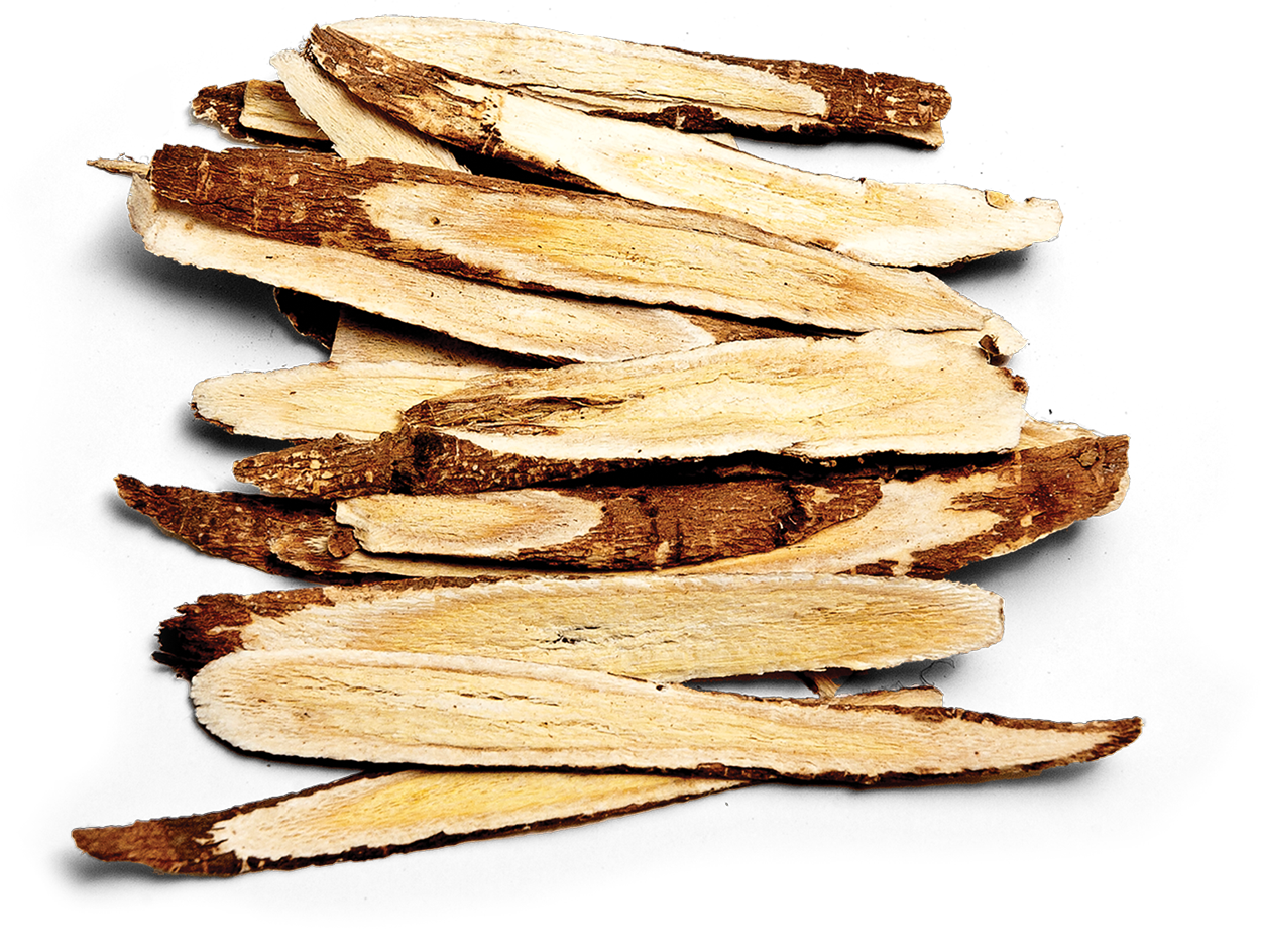 Sliced Astragalus Root