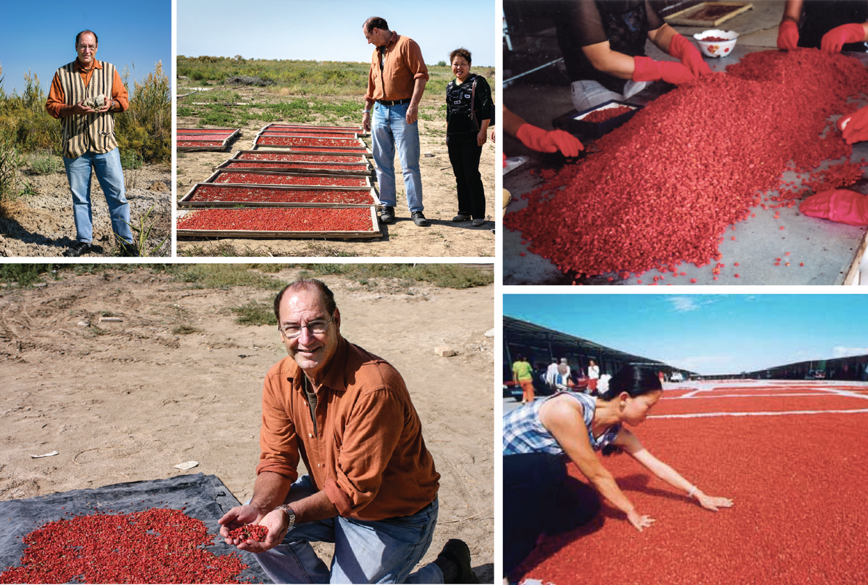 Ron Inspects Heaven Mountain Goji Plantation