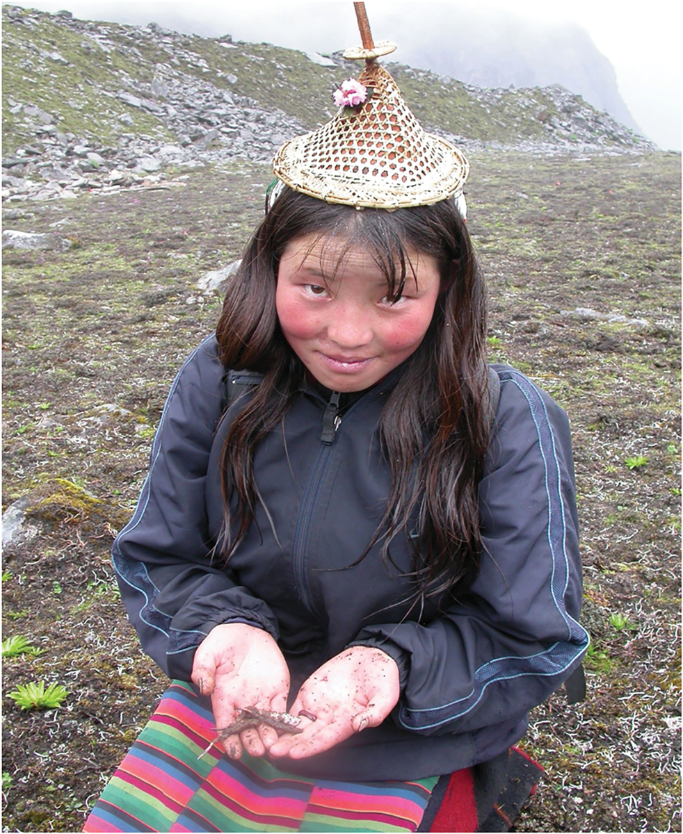 Mountain Girl Collects Cordyceps