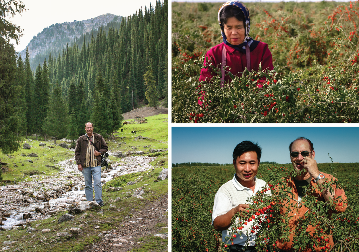 Ron In Goji Fields