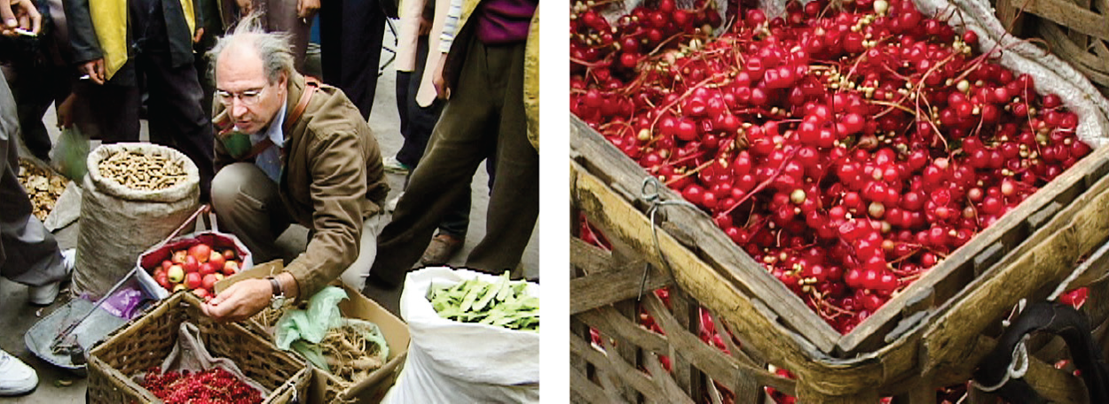 Ron Examines Fresh Schizandra At Village Market