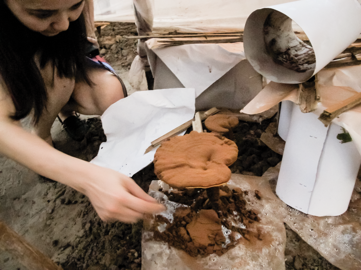 Yanlin Inspects Reishi Mushroom Producing Abundance Of Spores 