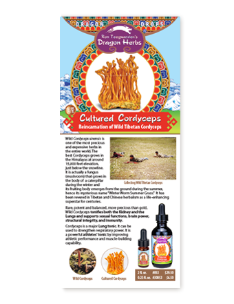 Cultured Cordyceps Infocard