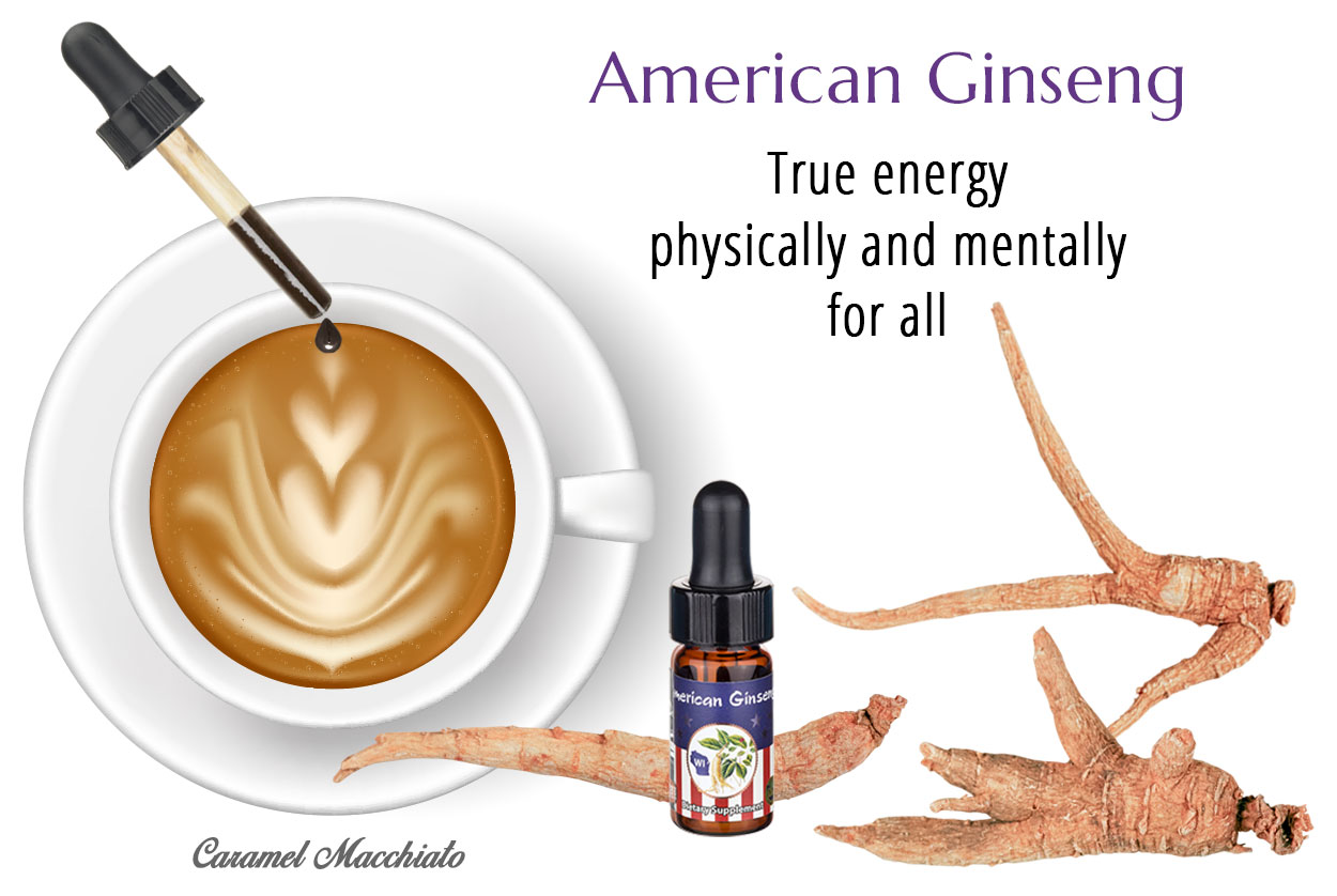 American Ginseng