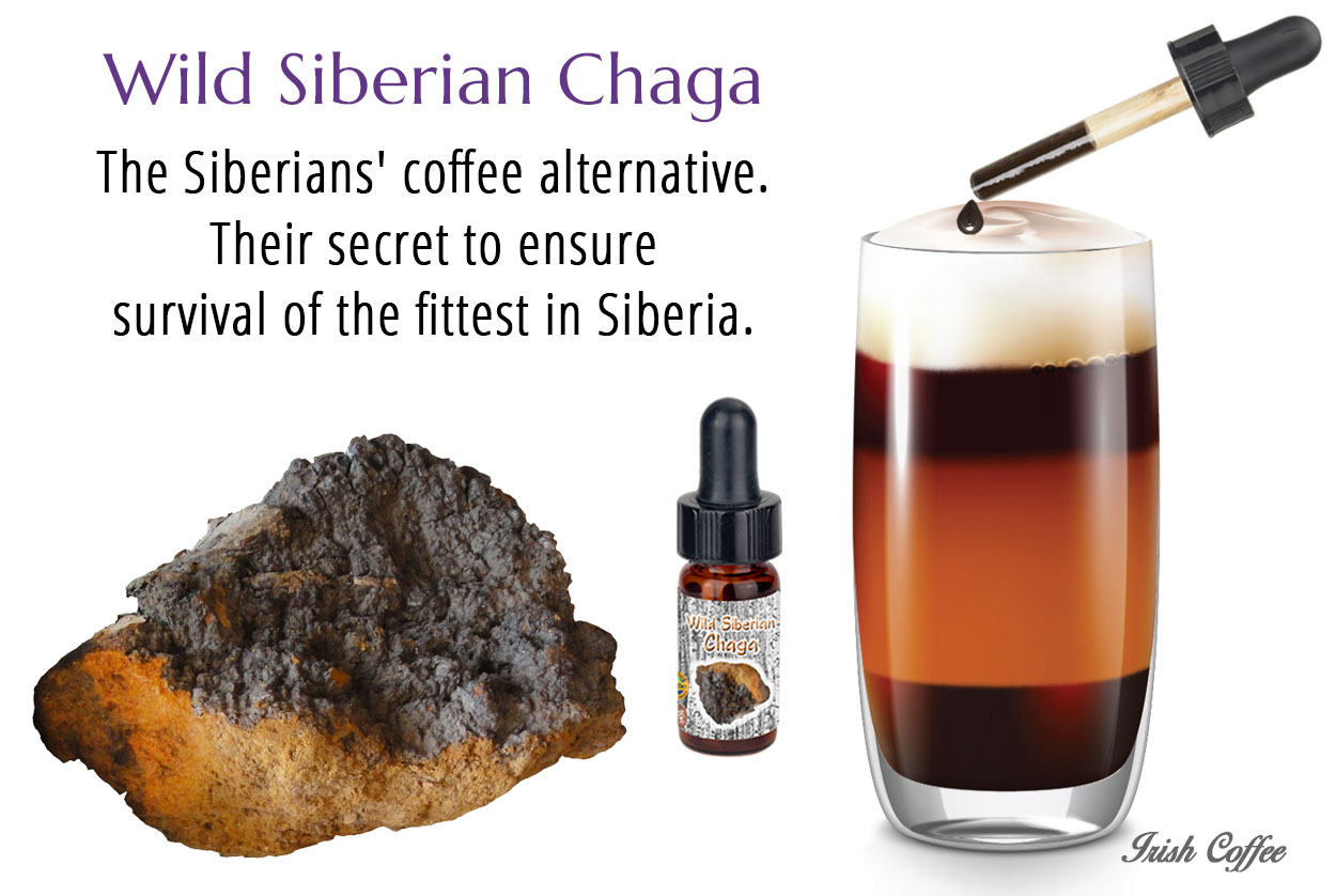 Chaga