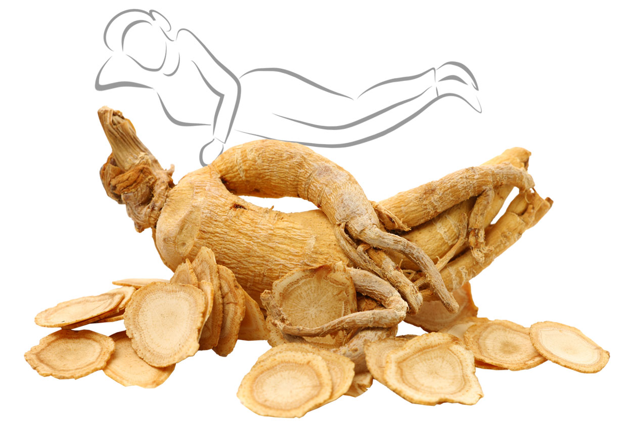 American Ginseng Sleep